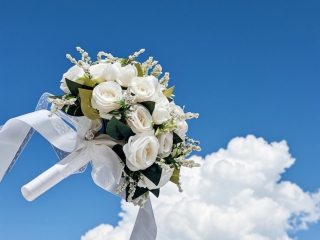 June brideの画像