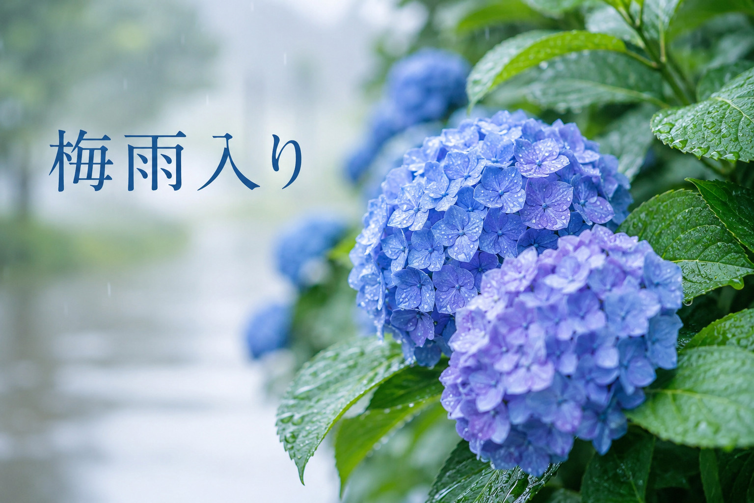 近畿地方の梅雨入り2026 時期・平年比・賢い梅雨の過ごし方...の画像