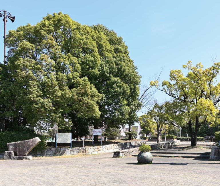元住吉で子育てに人気のオススメ公園はどこ？休日の外遊びに便利...の画像