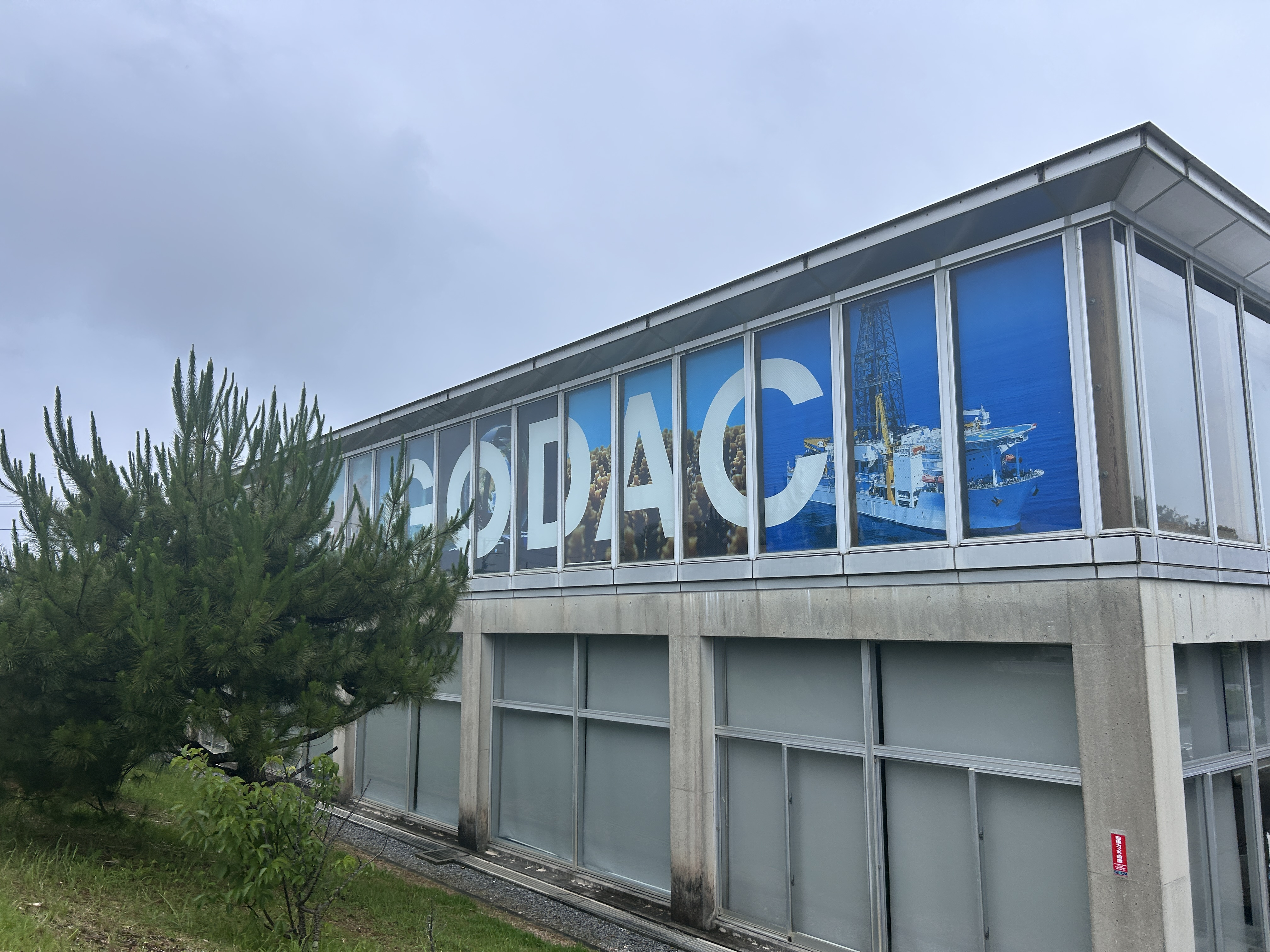今日は　世界海洋デーですの画像