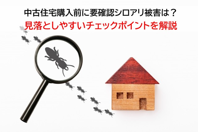 中古住宅購入前に要確認シロアリ被害は？見落としやすいチェック...の画像