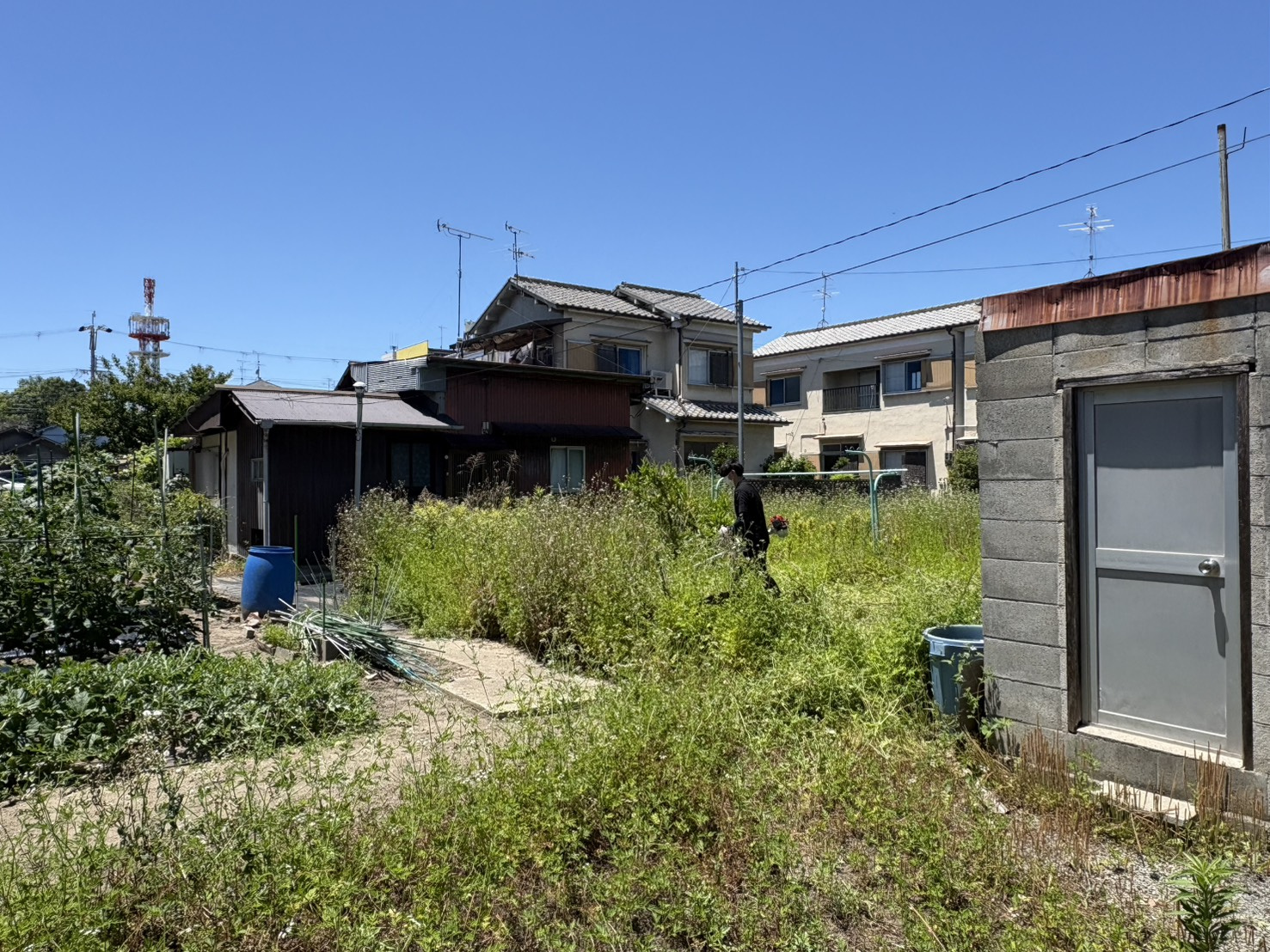 【大和高田市】賃貸保有物件の草刈りを行いましたの画像