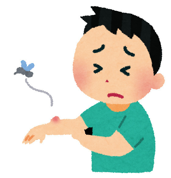 宿敵「蚊」について。の画像