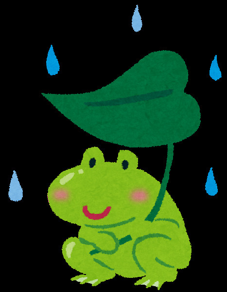 梅雨の画像