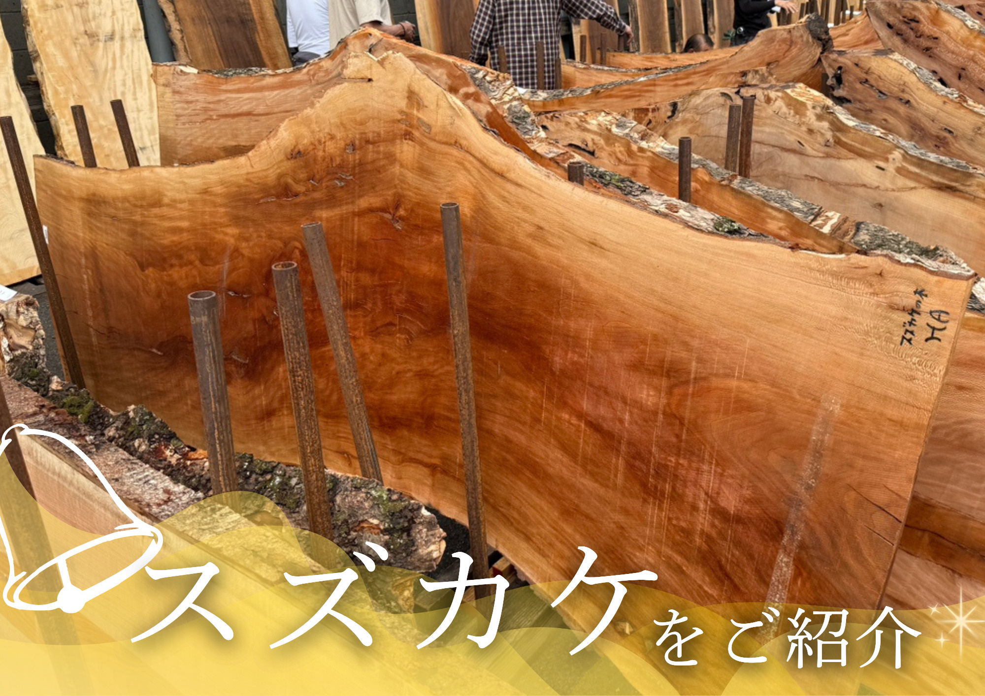 市場で出会った銘木「スズカケ」の魅力の画像