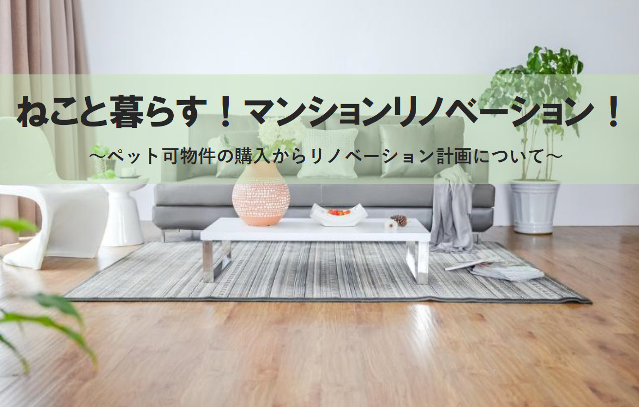 ねこと暮らす！マンションリノベーション！ペット可物件のリノベ...の画像