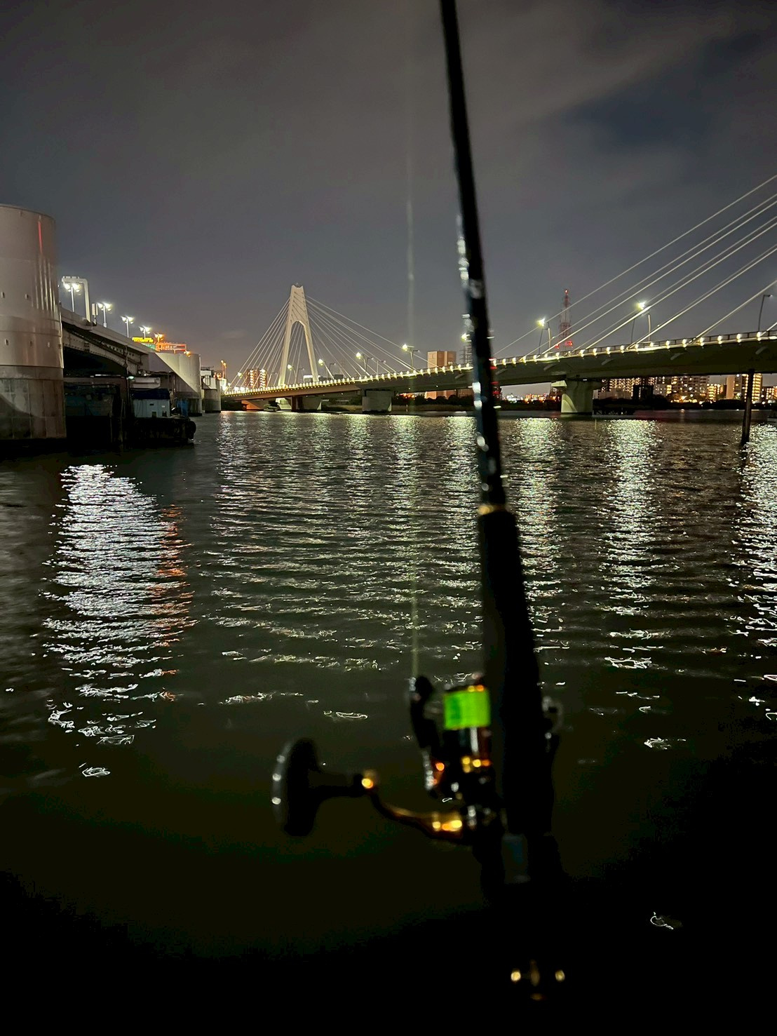 シーバス釣り　　<゜)))彡の画像