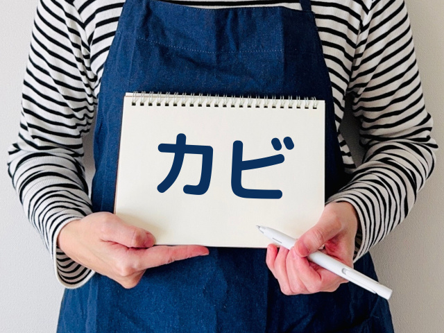 梅雨の季節にやっておくべきカビ対策 ― 健康で快適な住まいを...の画像