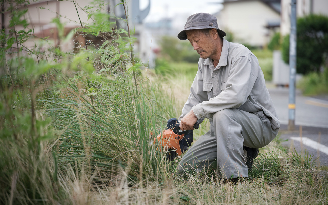 岐阜市の7月は物件の草刈り強化月間！その理由と空き家や土地所...の画像