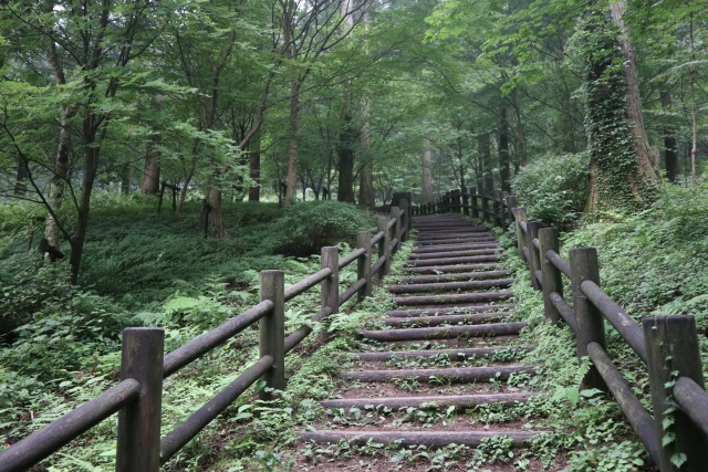 上林森林公園の風穴って知ってる？｜松山市近郊の画像