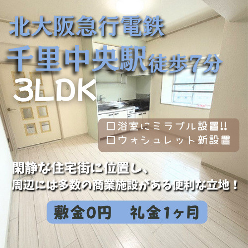 駐車場空きあり！ファミリーにもおすすめ！【メゾン千里中央】の画像