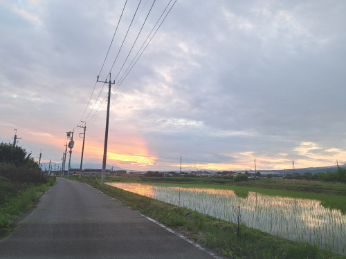 ☆帰宅途中に出会った夕焼けに感謝☆の画像