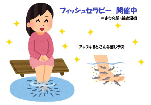 ★☆フィッシュセラピー　開催中☆★の画像