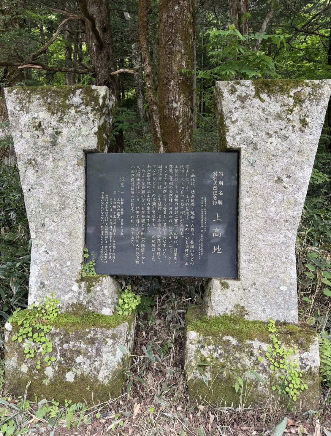 現実逃避の画像