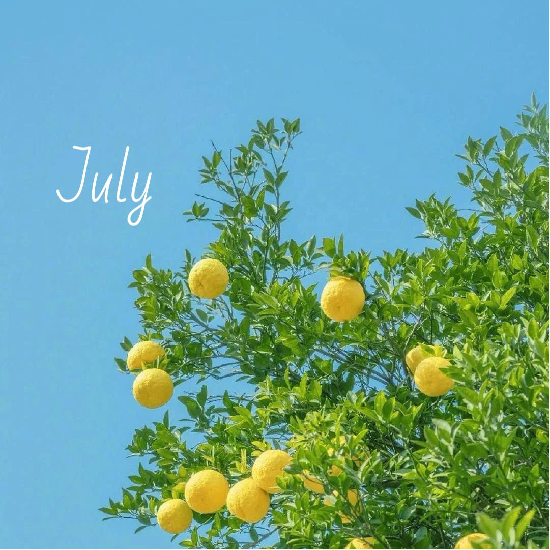 【飯塚市不動産】7月スタートの画像