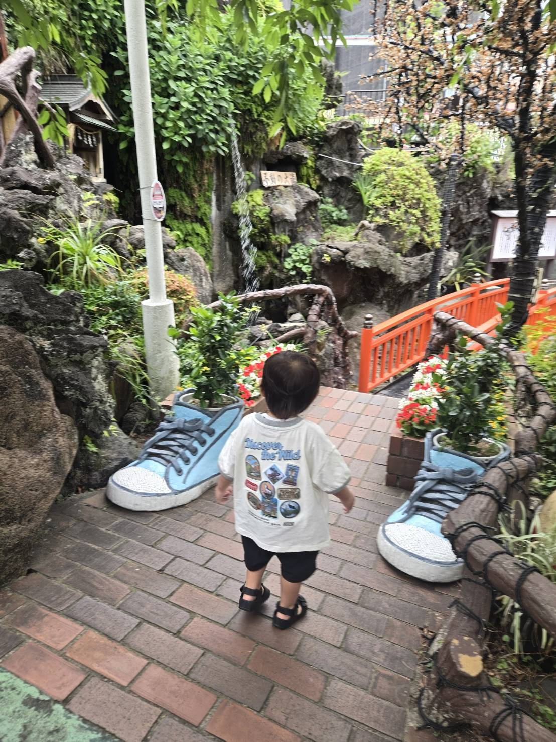 関東旅行～浅草花やしきに行ってきました～の画像