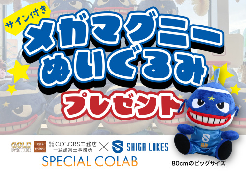 「メガマグニーぬいぐるみ」プレゼントキャンペーンスタート！！...の画像
