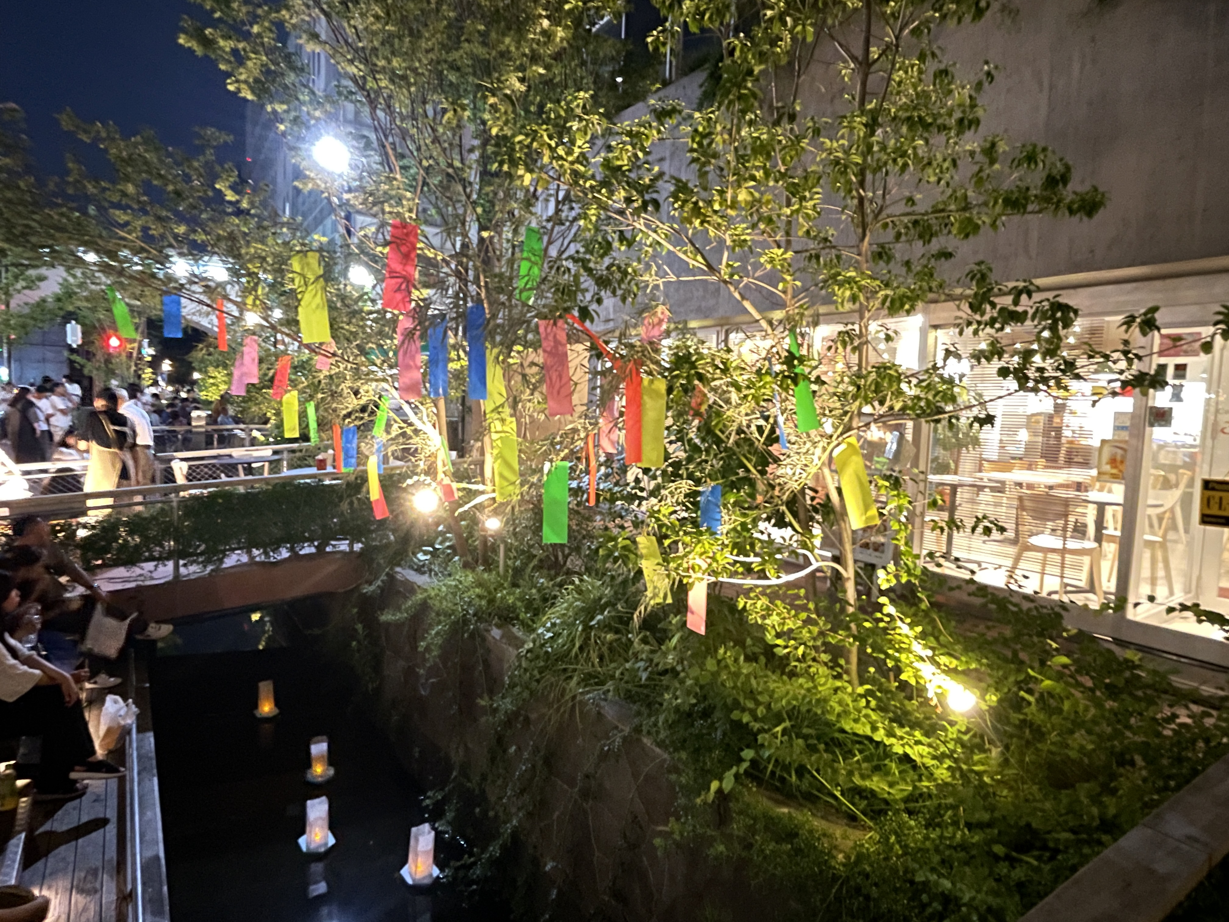 2026年7月11日（土曜）りんごの樹(^^)元気にオープン...の画像