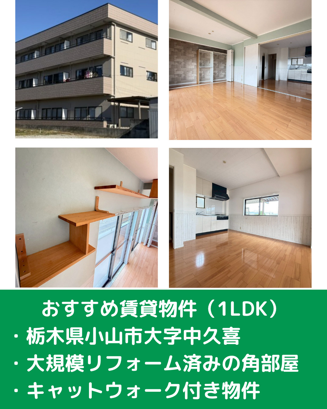猫好きさん必見！ キャットウォーク付き1LDKが登場の画像