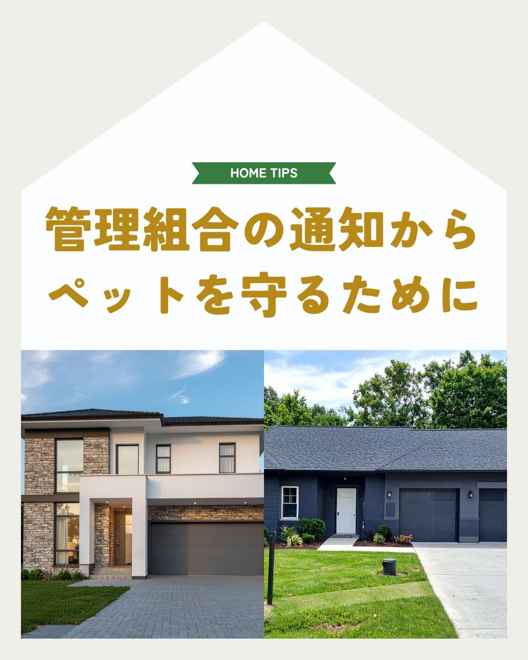 マンション管理組合のペット禁止通知？不動産売買でペットと暮ら...の画像
