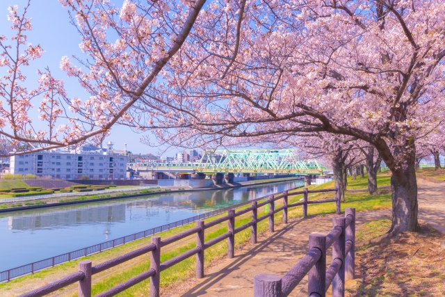 毎年5月に届く『固定資産税の納税通知書』にため息をつく前に…...の画像