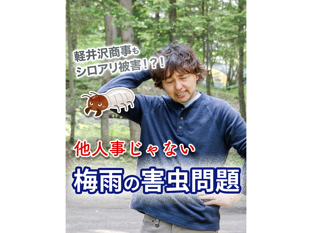 【軽井沢の賃貸経営】軽井沢商事もシロアリ被害！？！他人事じゃ...の画像