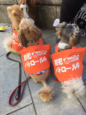わんわんパトロール（箕面市防犯取組み）の画像