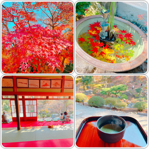 2026年7月21日（火曜）りんごの樹(^^)元気にオープン...の画像