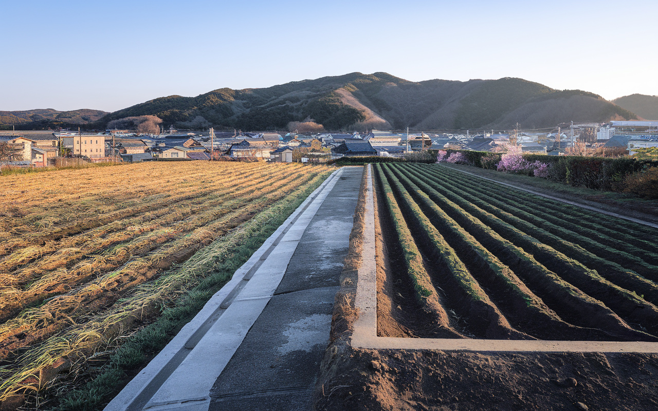 農地の相続放棄は可能か？畑だけ手放したいときの注意点と選択肢...の画像