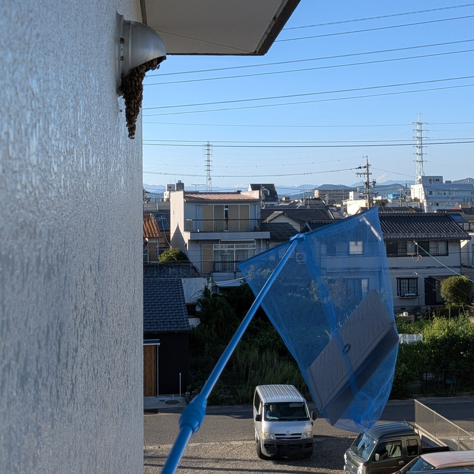 【岐阜の管理会社が緊急対応】アパートの換気扇ダクトにミツバチ...の画像