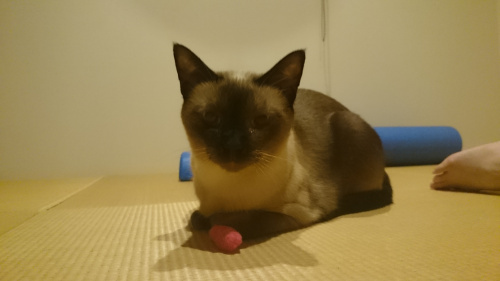 言霊を大事に。の画像