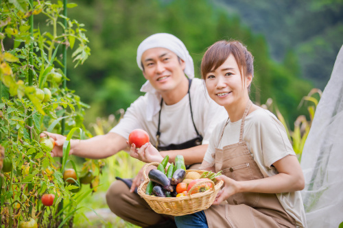 山武市で暮らす魅力｜自然と利便性のバランスが人気の理由の画像