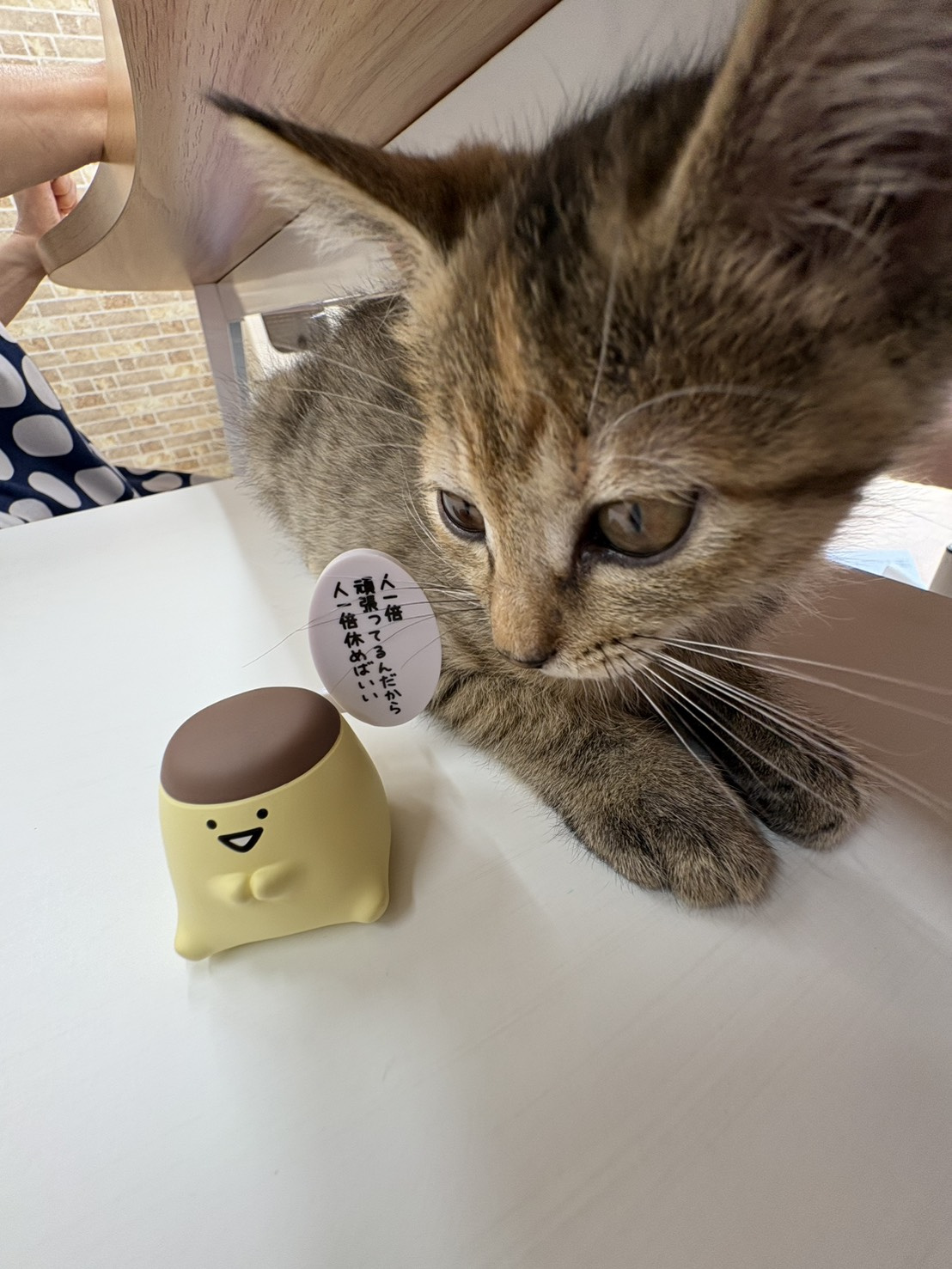お盆休みのお知らせの画像