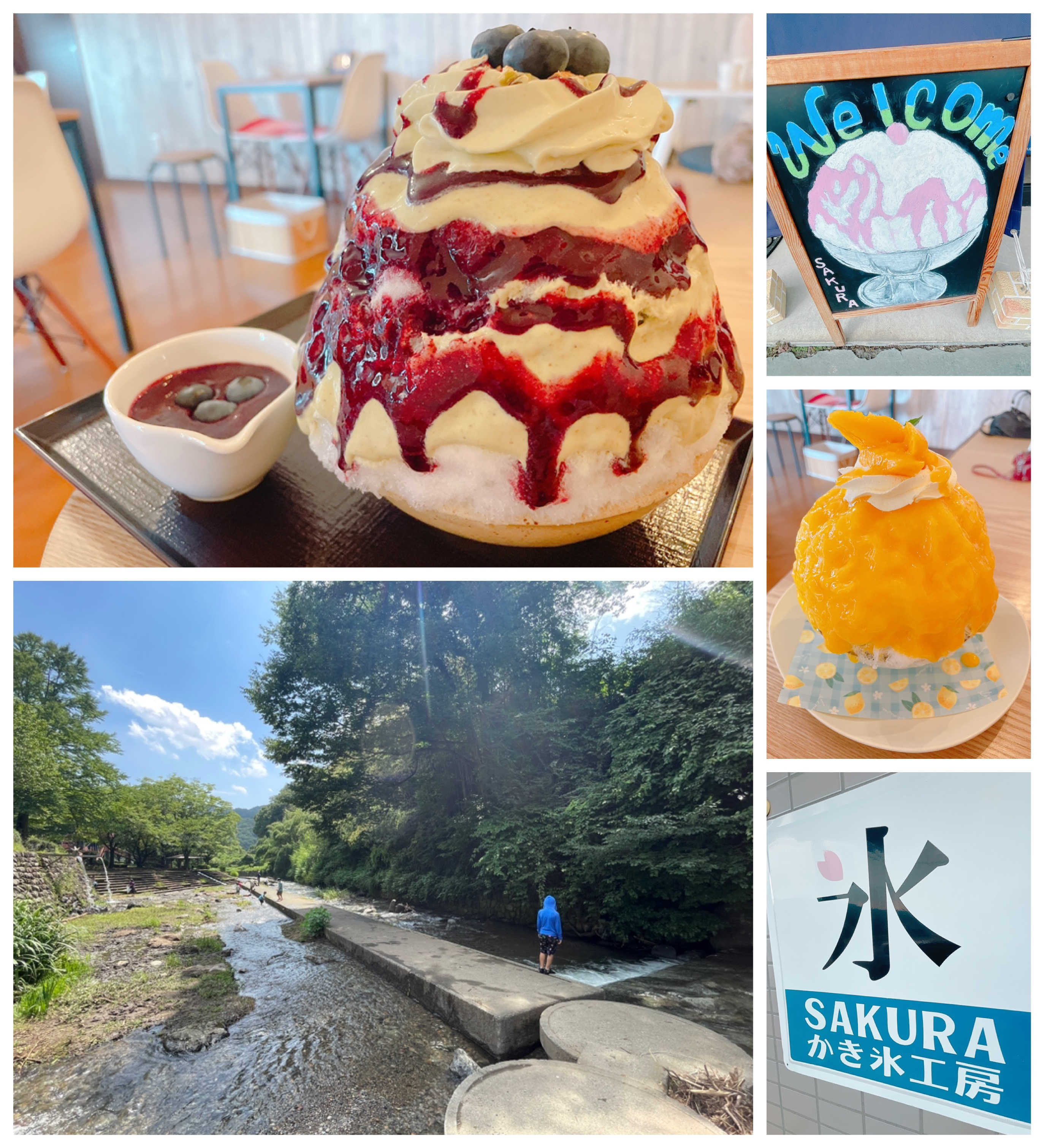 2026年8月5日（水曜）りんごの樹(^^)元気にオープン！...の画像