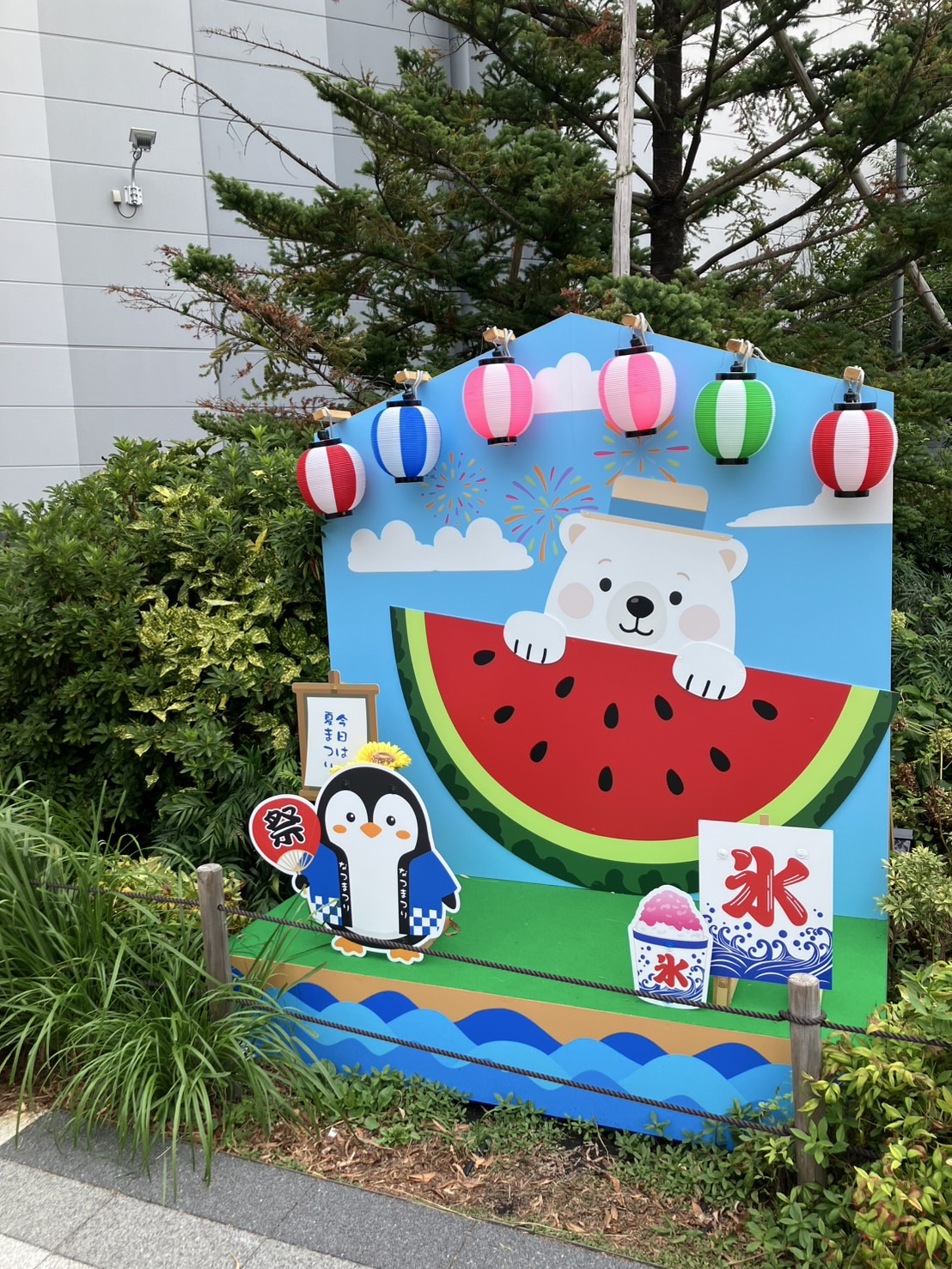 夏ですね!(^^)!の画像