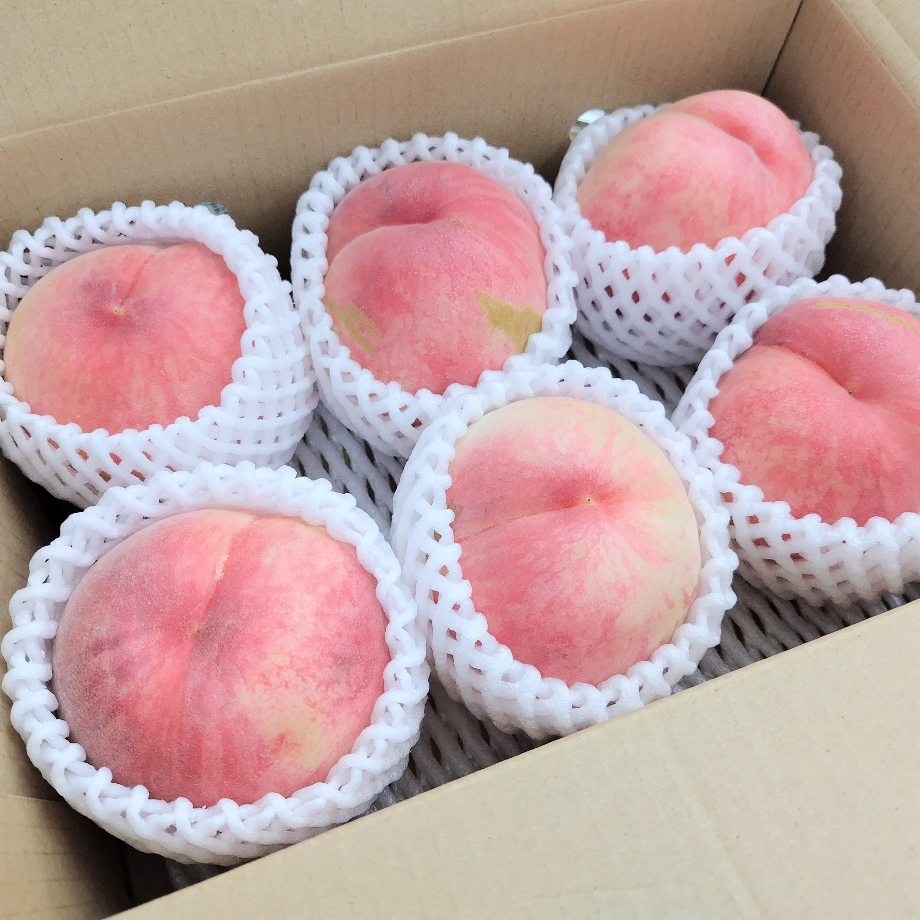 管理部スタッフの実家から届いた会津の桃。夏の味覚と賃貸管理の...の画像