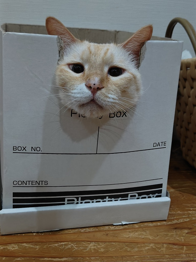 夏バテの画像