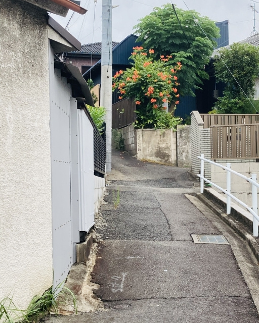 接道義務の4メートルが足りない土地？自宅用購入前に知るべきリ...の画像