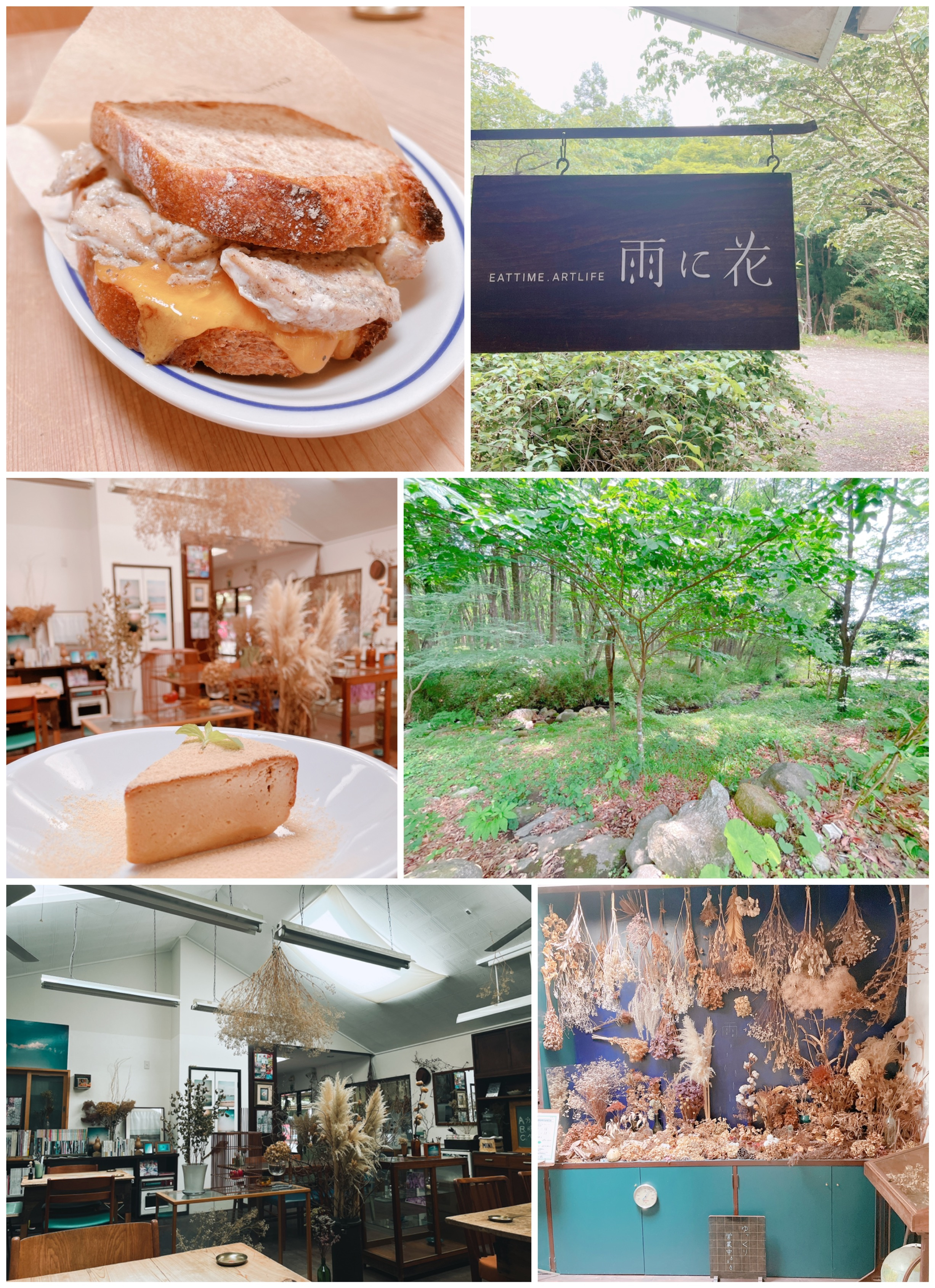 2026年8月11日（火曜）オープン中！（お盆も営業してます...の画像