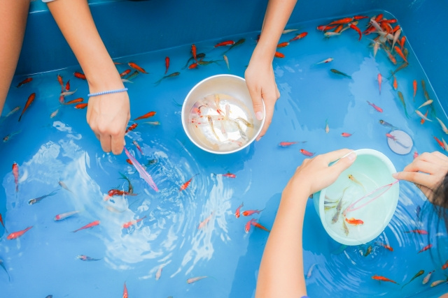 外国人にも知ってほしい日本の夏の金魚文化 ― 金魚鉢・金魚す...の画像