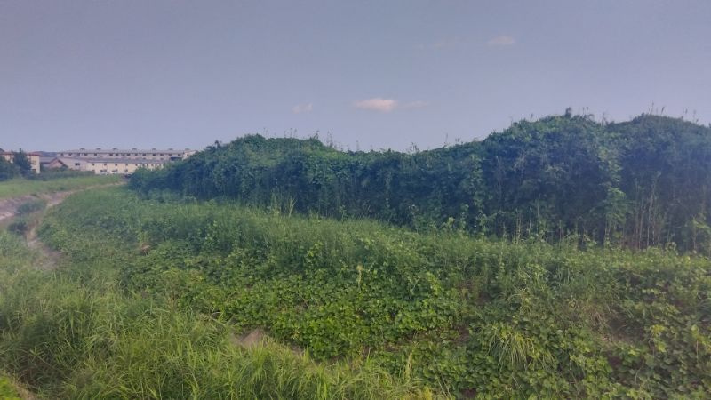 掛川市中の売土地をお預かりしましたの画像
