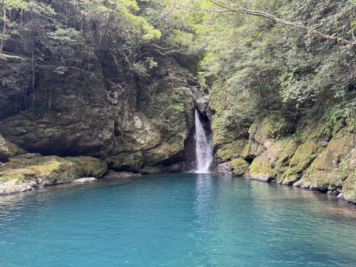 【高知県観光】大瀧の滝へ行ってきました｜大自然に癒やされるお...の画像