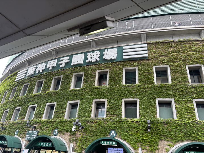 念願の甲子園に行ってきました！の画像