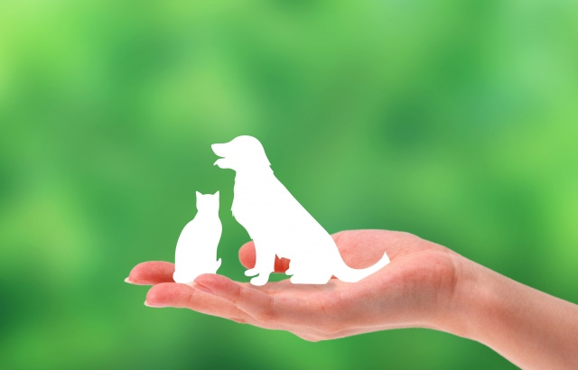 東岡崎駅・岡崎駅で犬猫OK！一人暮らし向けペット可賃貸の選び...の画像