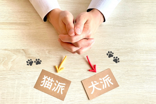 岡崎市でファミリー向けペット可賃貸を探すなら？犬猫OK物件の...の画像