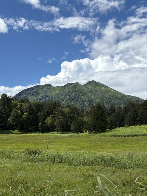 夏の登山の画像