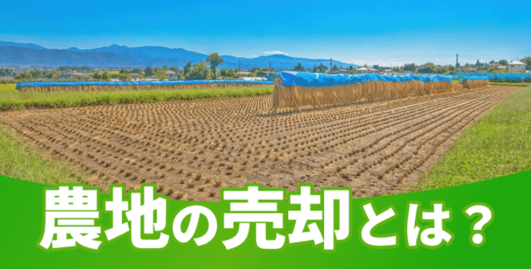 農地は売れる？｜農地売却の方法・農地転用・注意点をわかりやす...の画像