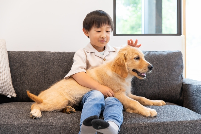 ペット可×学区で選ぶ岡崎市賃貸｜家族も愛犬も暮らしやすい物件...の画像