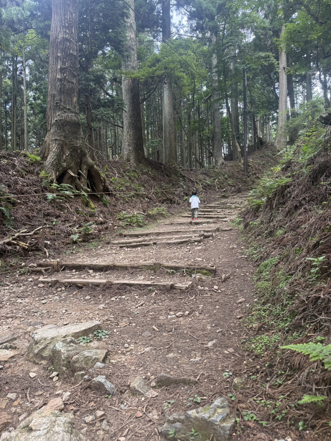 男旅の画像