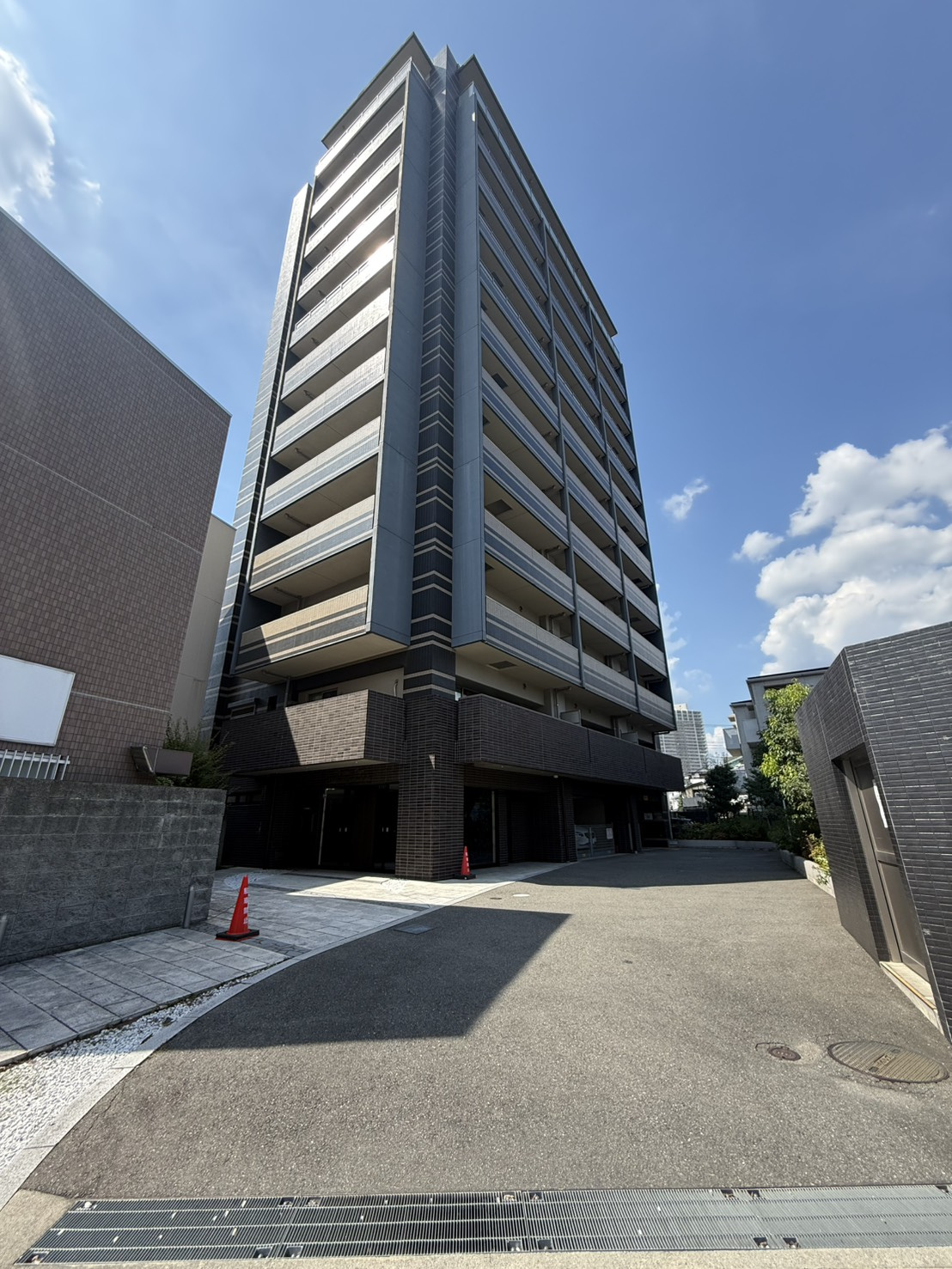 新登場の画像